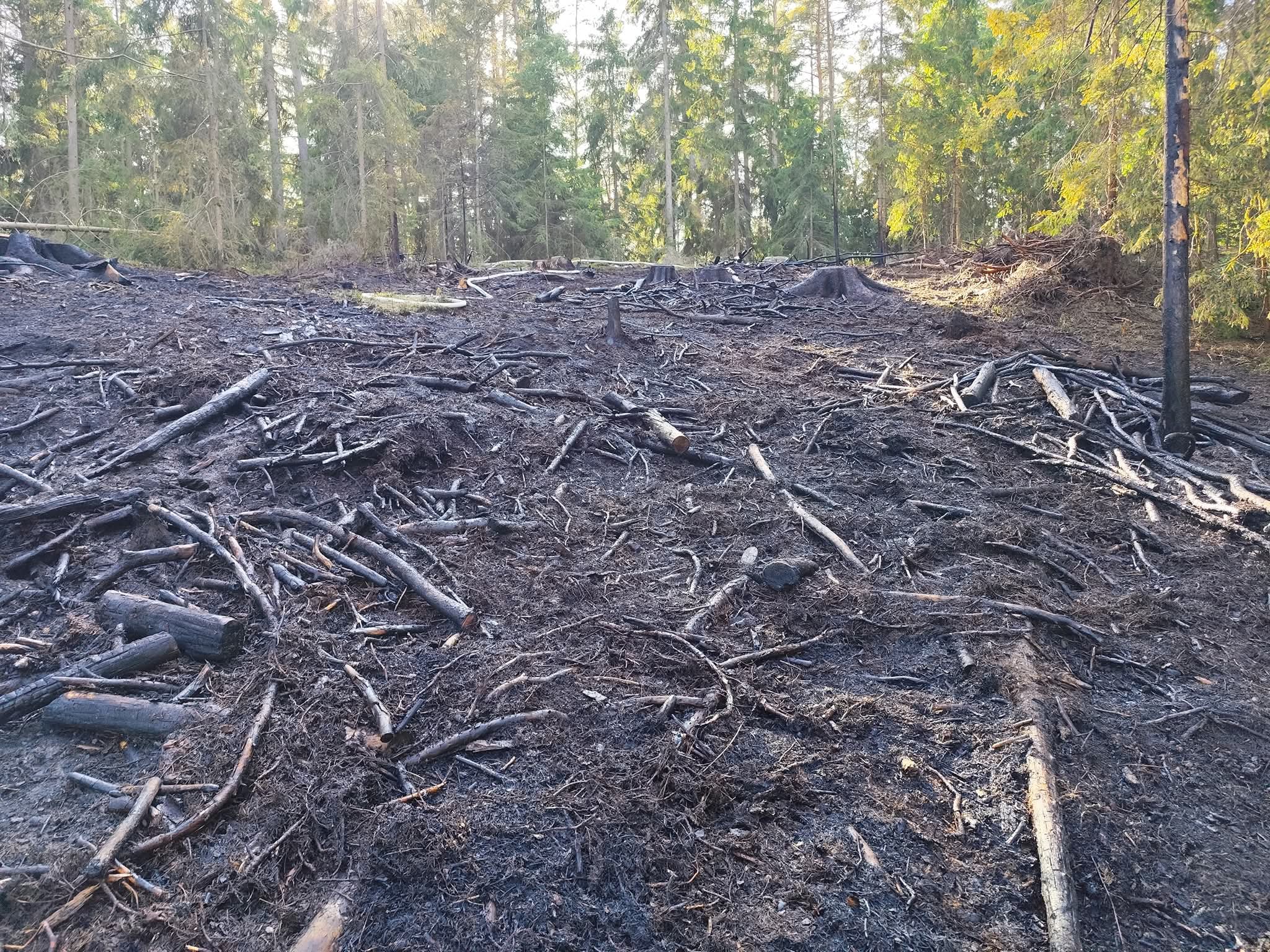 1000059980